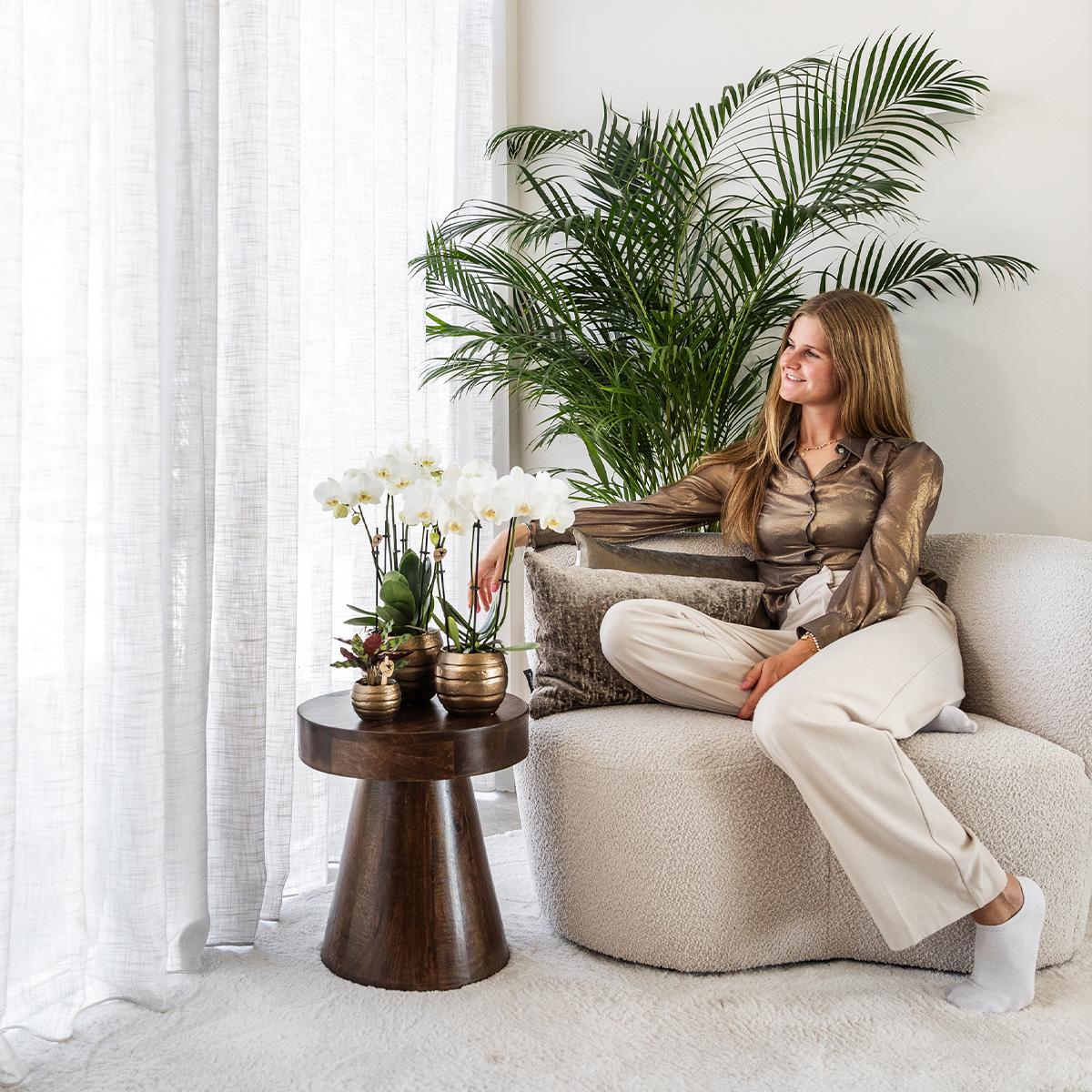 Kolibri Greens | Pianta verde - Calathea Makoyana - pianta da appartamento verde - fresca dal coltivatore - Ø9cm