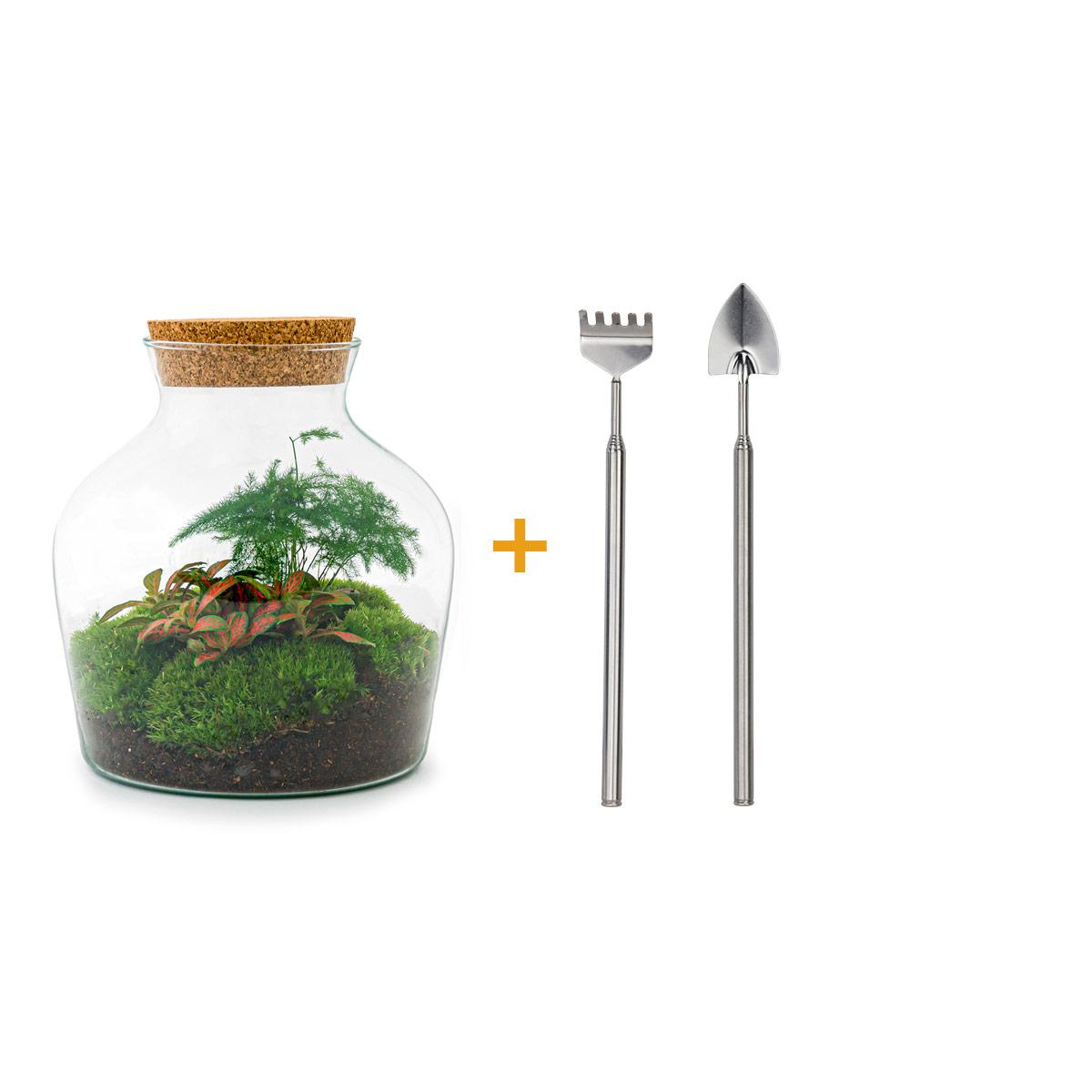 DIY-Terrarium – Little Joe – ↕ 21,5 cm – Rechen + Schaufel