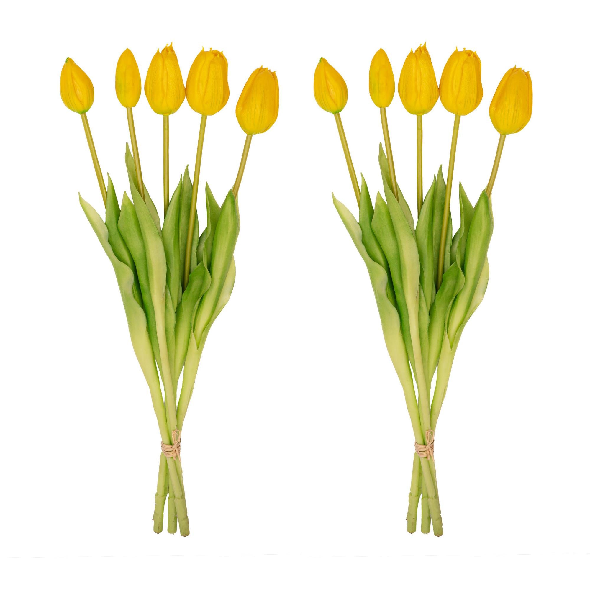 Vaso Vaso Lady 'Kylie' ↑ 27 cm + 10x Tulipani veri al tatto Giallo (giallo)