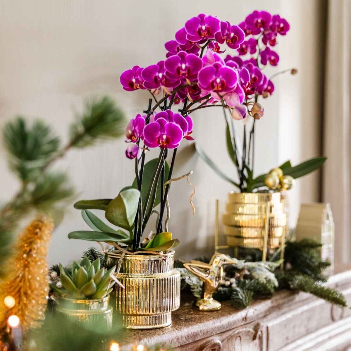 Kolibri Home | Allure Shiny sierpot - Goud - Ø9cm
