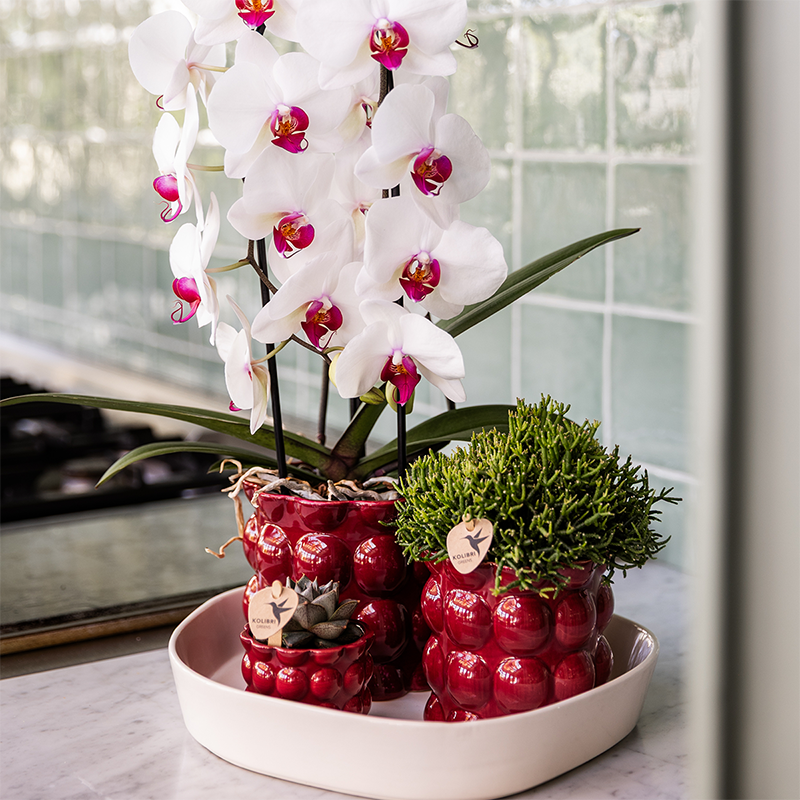 Kolibri Home | Cotton Shine sierpot - Red - Ø9cm