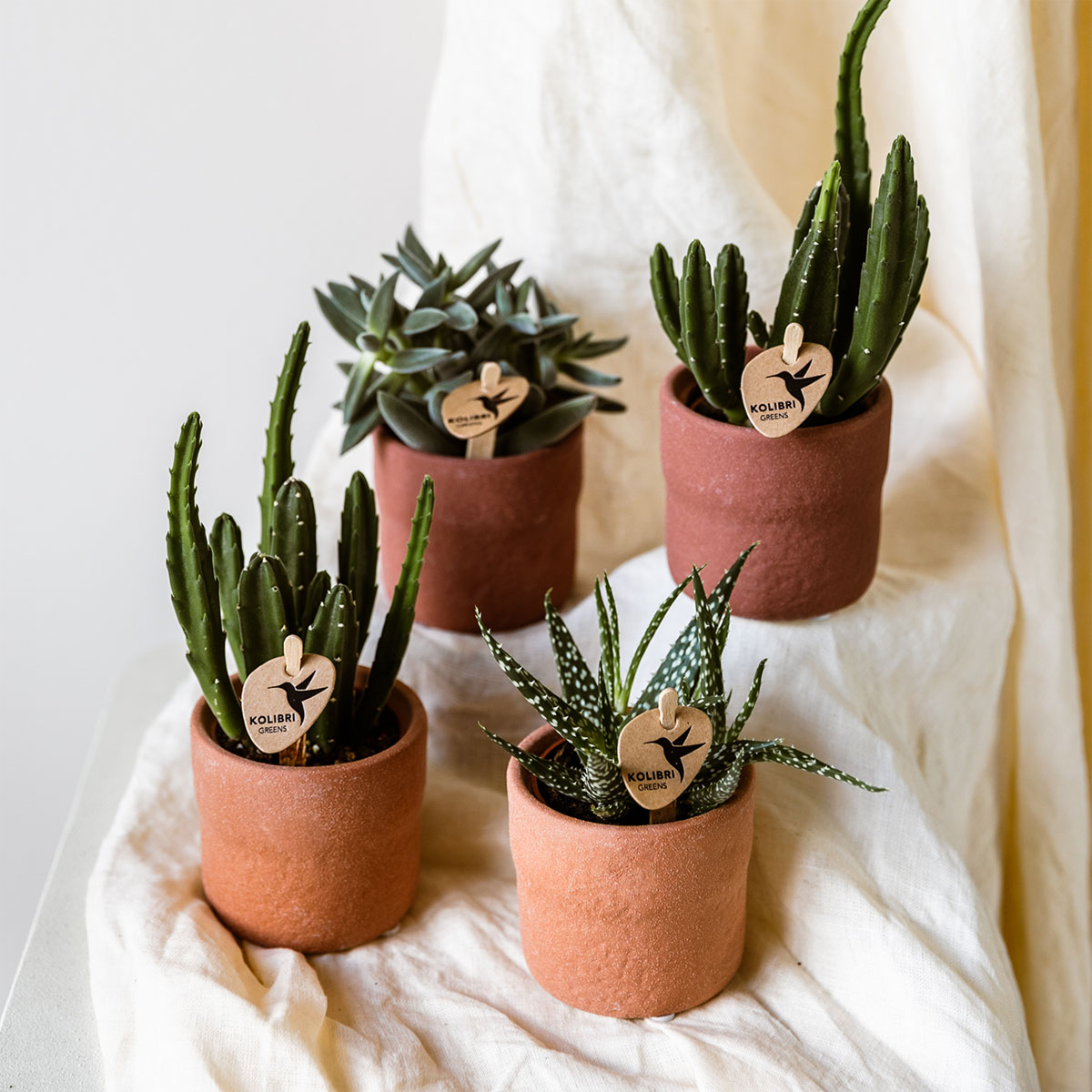 Kolibri Home | Rustikaler Dekotopf – Gebranntes Orange – Ø 6 cm