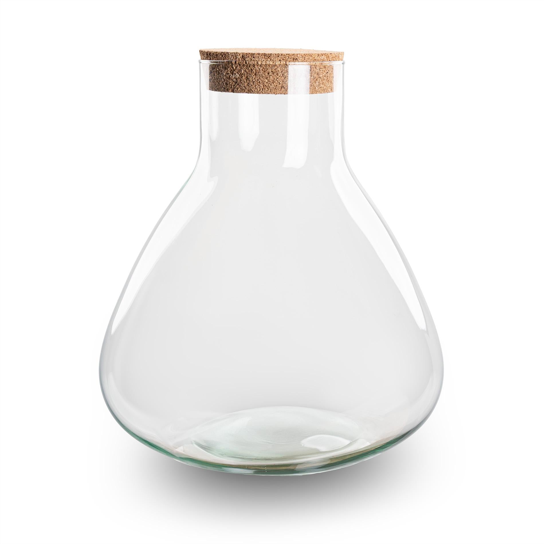 Terrarium bottle  - Model: Sammie -  Bottle Garden ↑ 26,5 cm