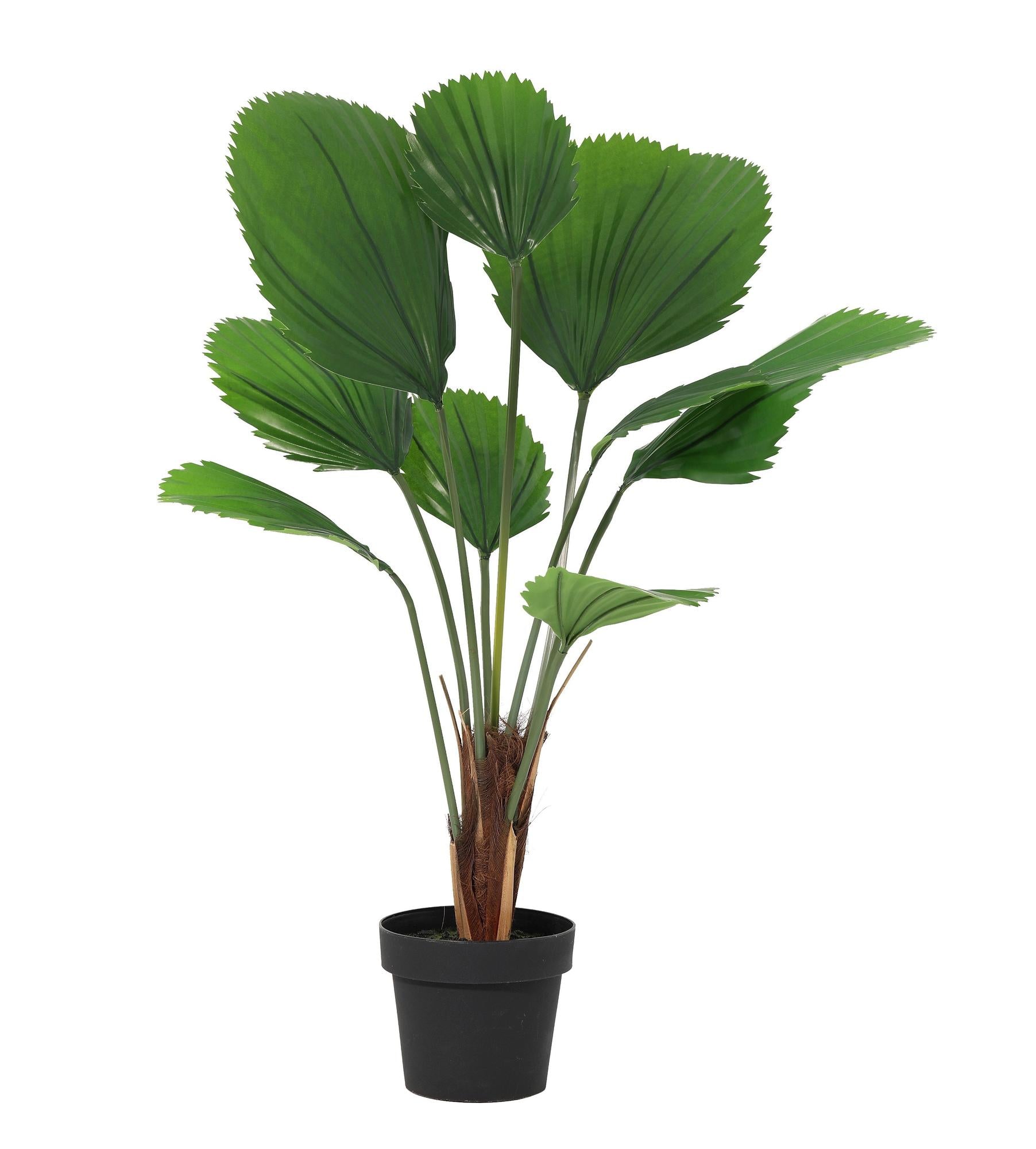 Kunstplant - Licuala Grandis - 104cm