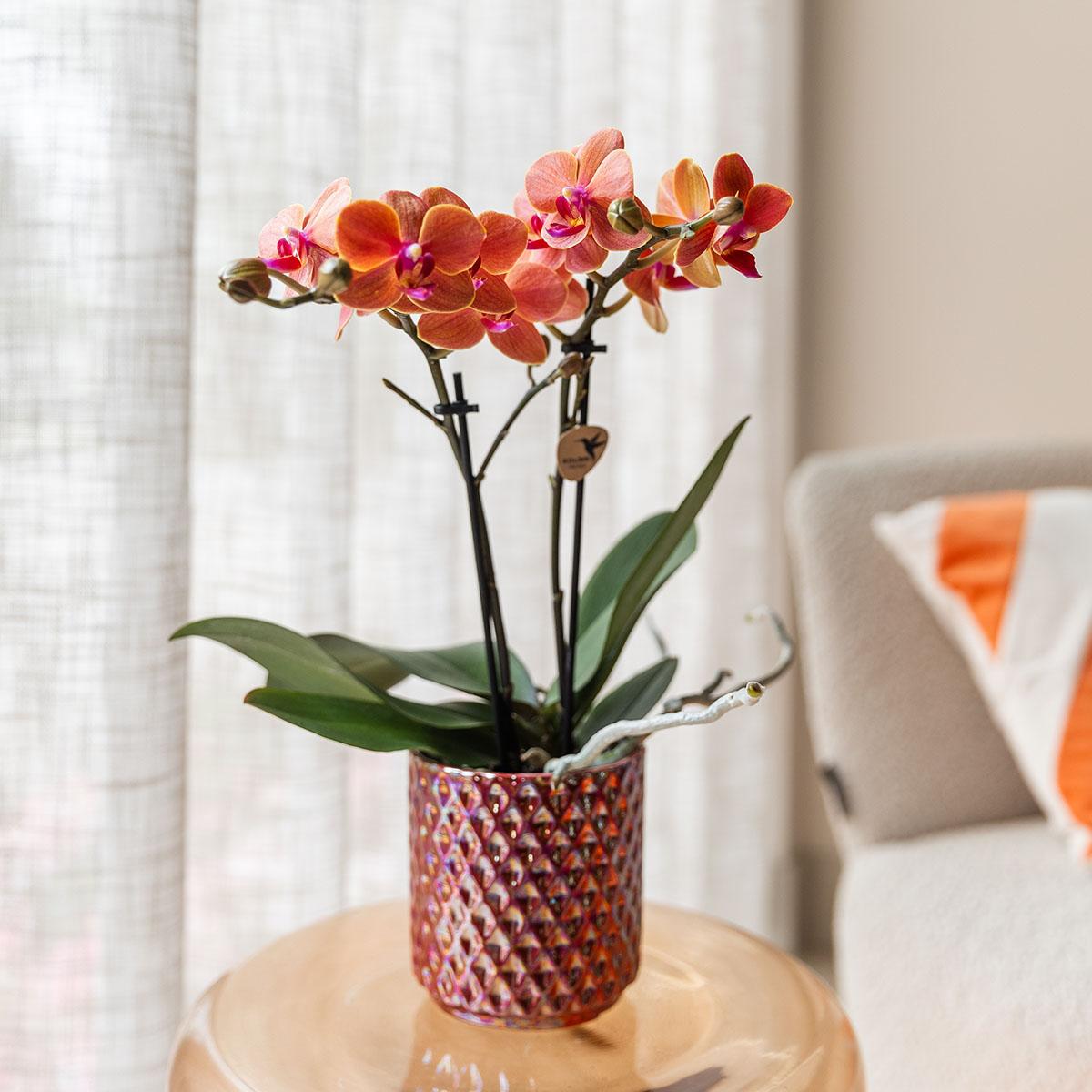 Kolibri Home | Diamond pearl sierpot - Red - Ø9cm