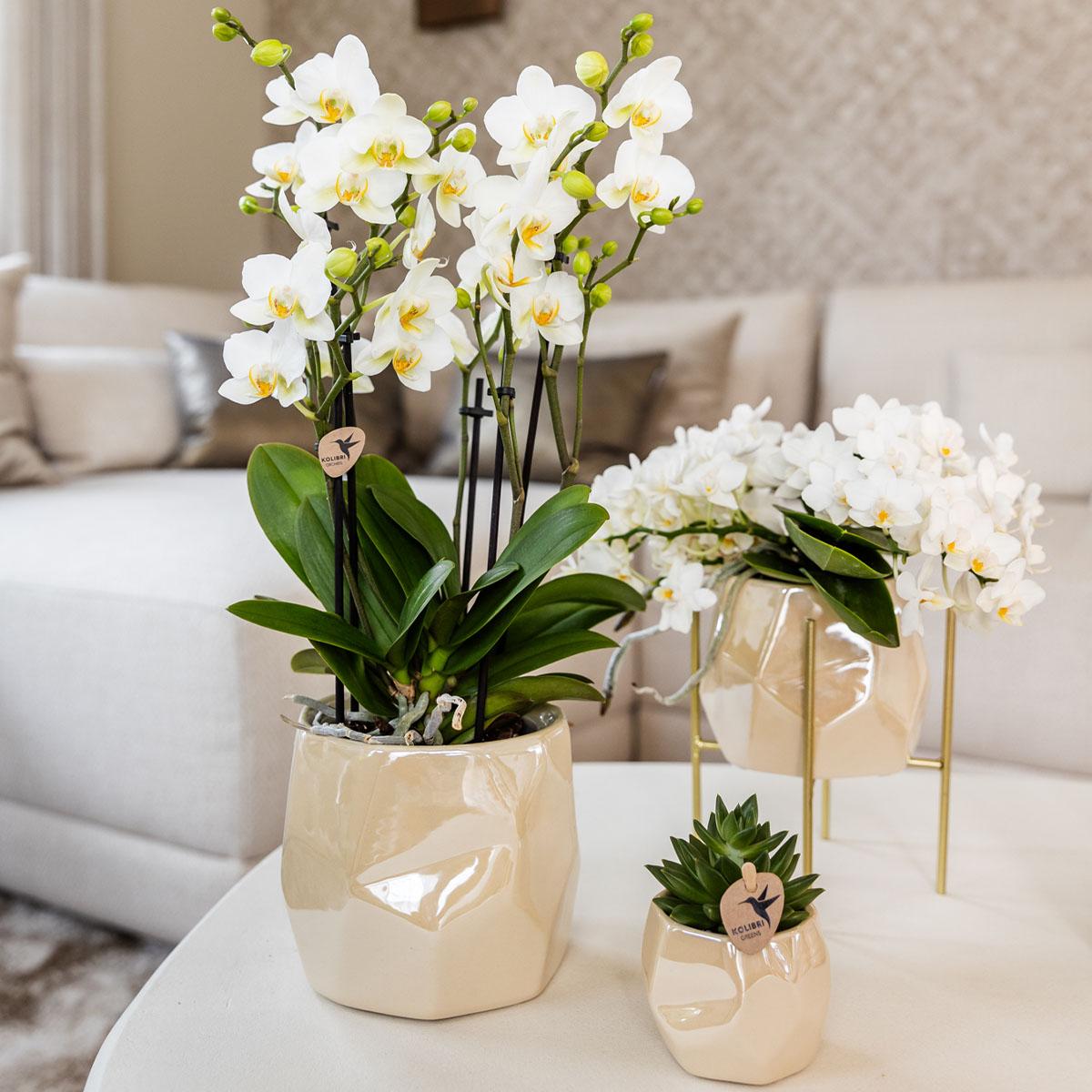 Kolibri Home I Vaso Pearl - Travertino - Ø12cm