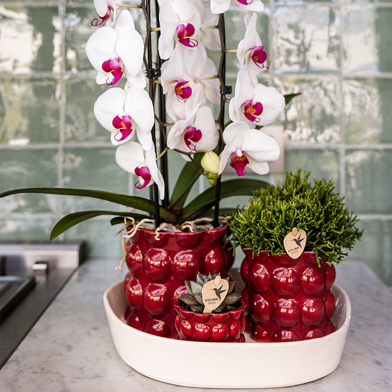 Kolibri Home | Cotton Shine sierpot - Red - Ø6cm