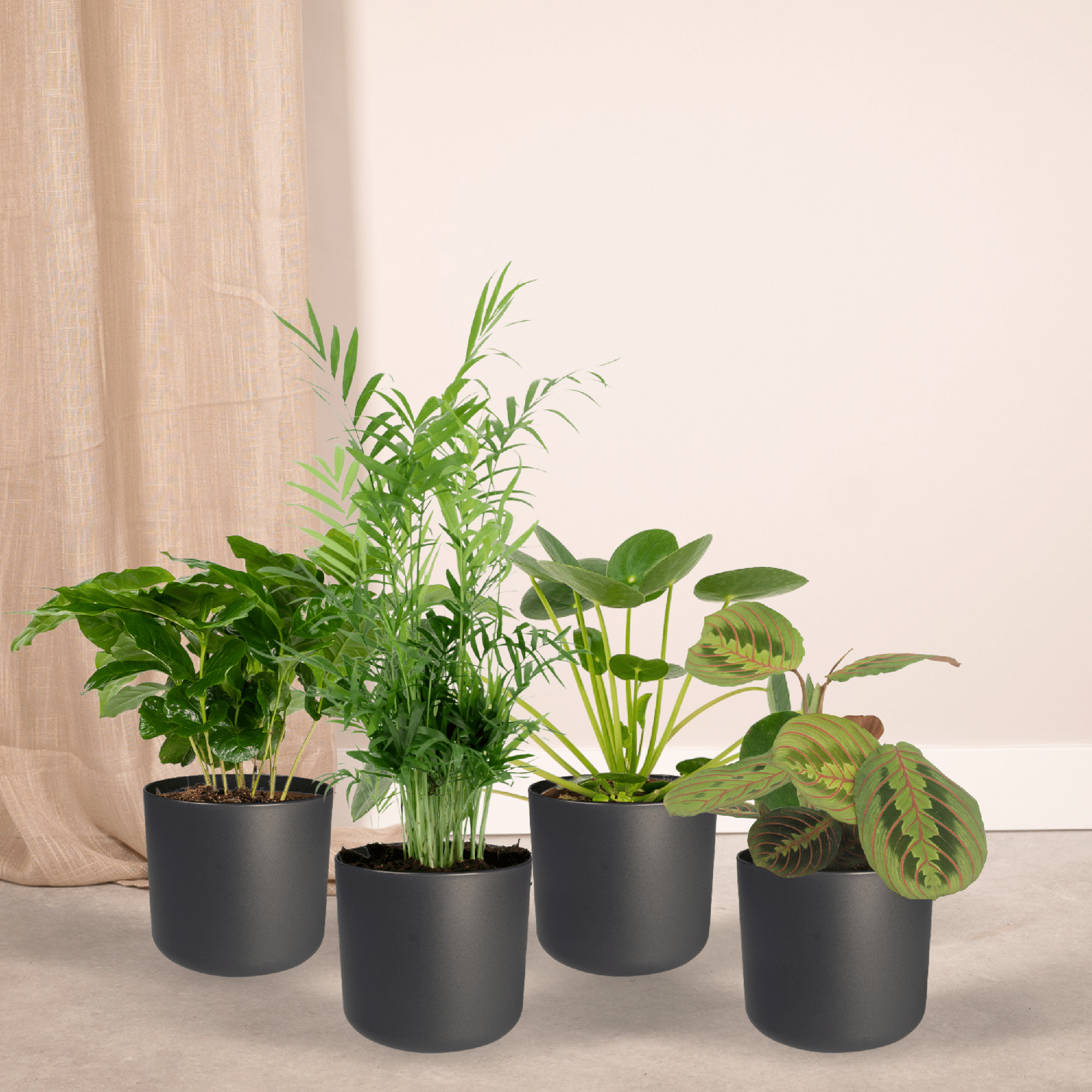 Tierfreundlicher Pflanzkasten – 4 Stück – Ø 12 cm – ↕ 20–40 cm