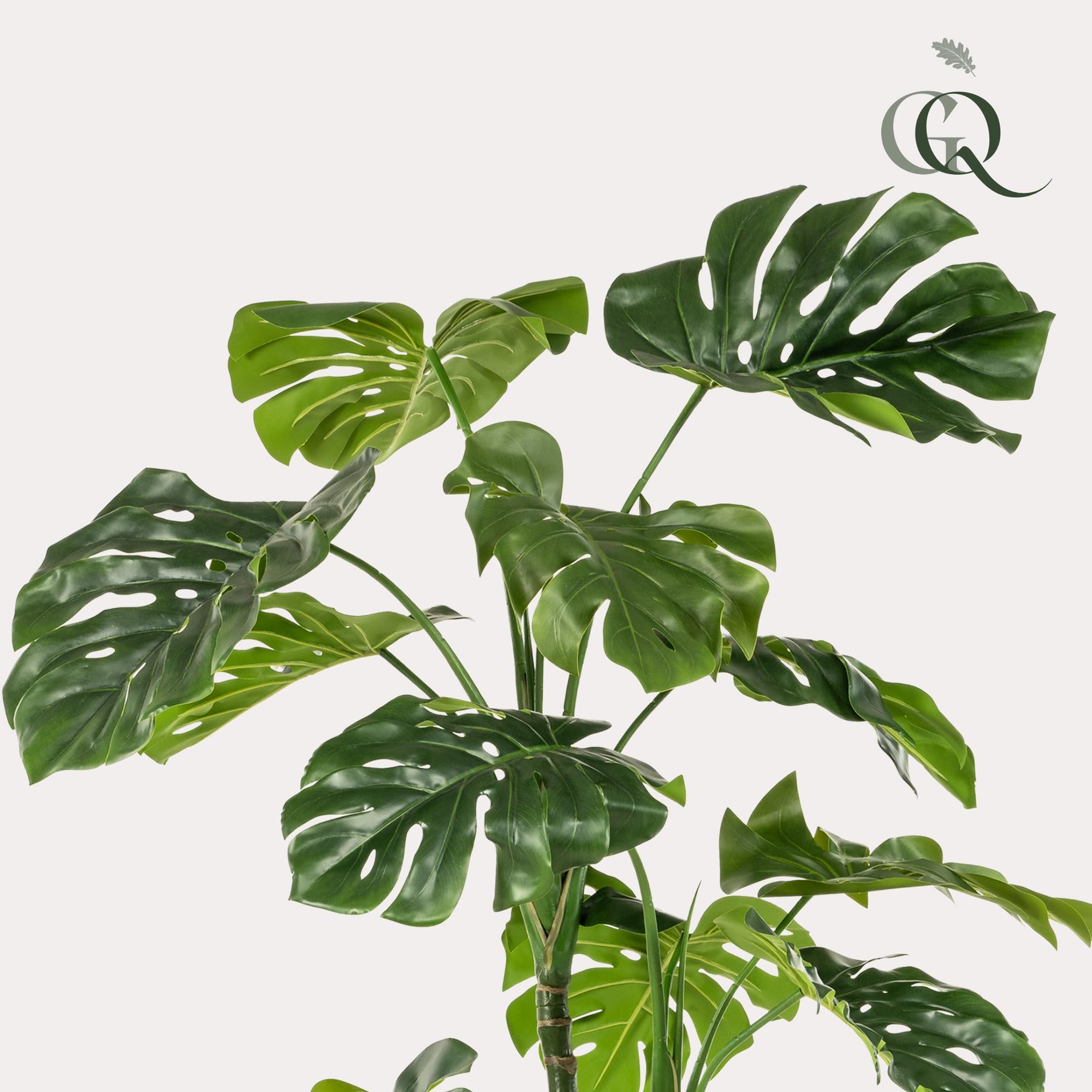 pianta artificiale - Monstera - Pianta da bucato - 180cm