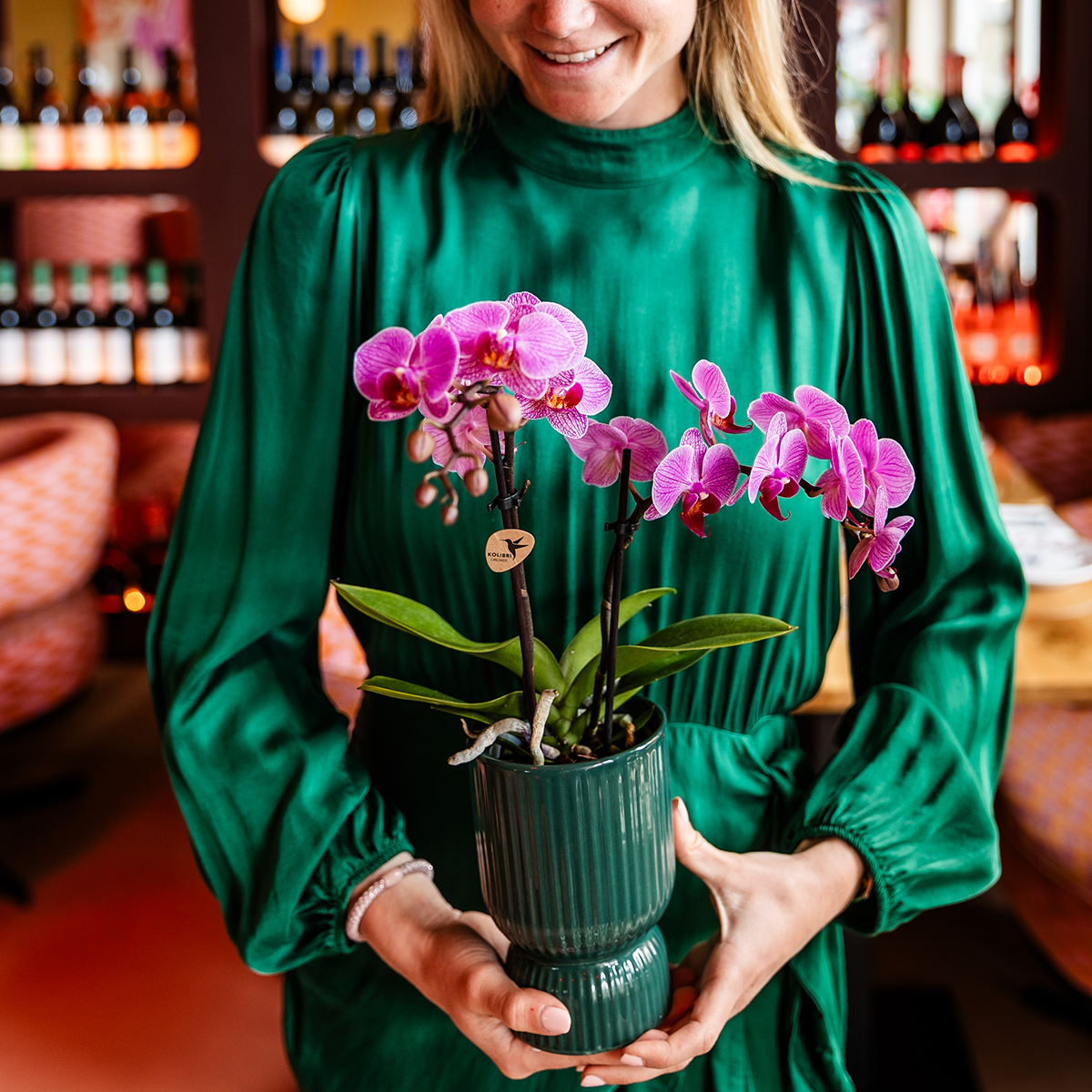 Kolibri Home | Diabolo-Übertopf | Ø 9 cm – Grün