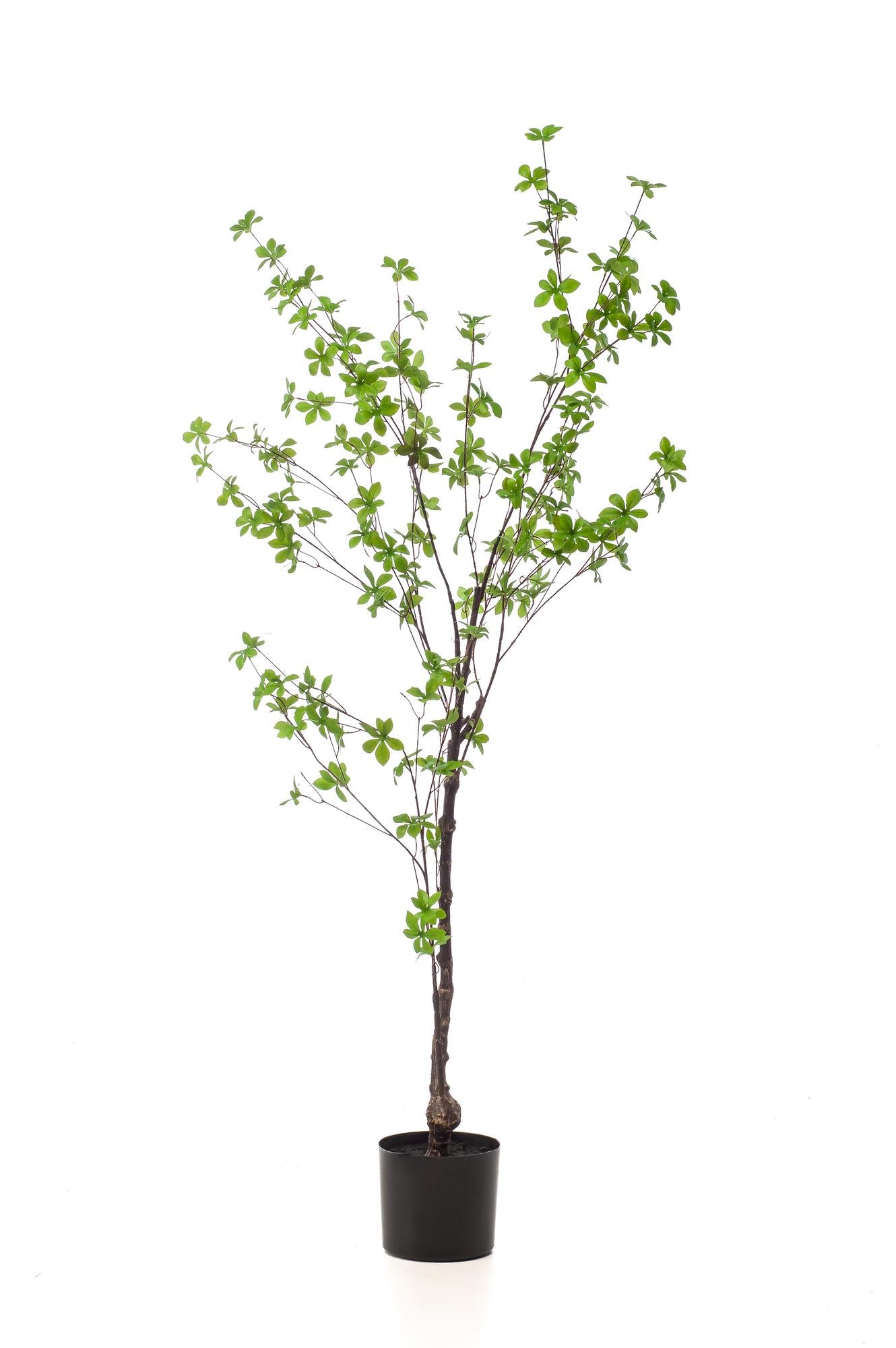 Artificial plant - Tropaeolum Speciosum - Nasturtium - 150 cm