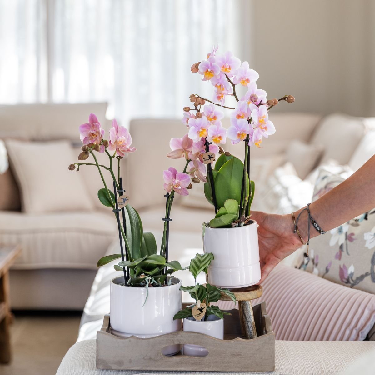 Kolibri Home | Pastel sierpot - Wit