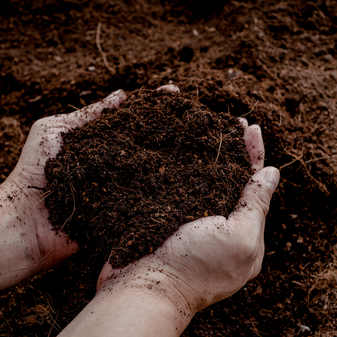 Potgrond Universeel 30 Liter Kopen – Voor Binnen- en Buitenplanten