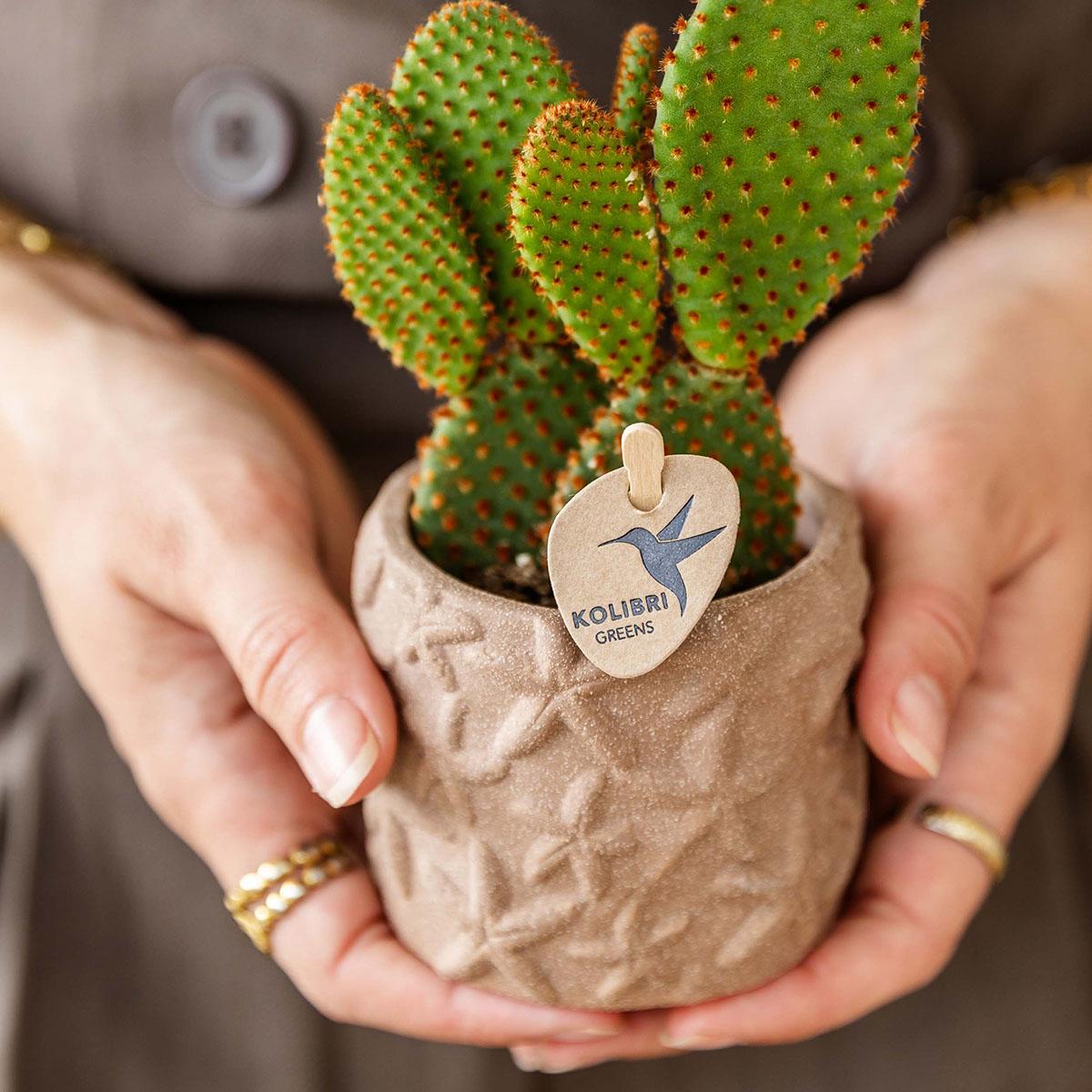 Kolibri Home | Star Fish Übertopf - Sand - Ø6cm