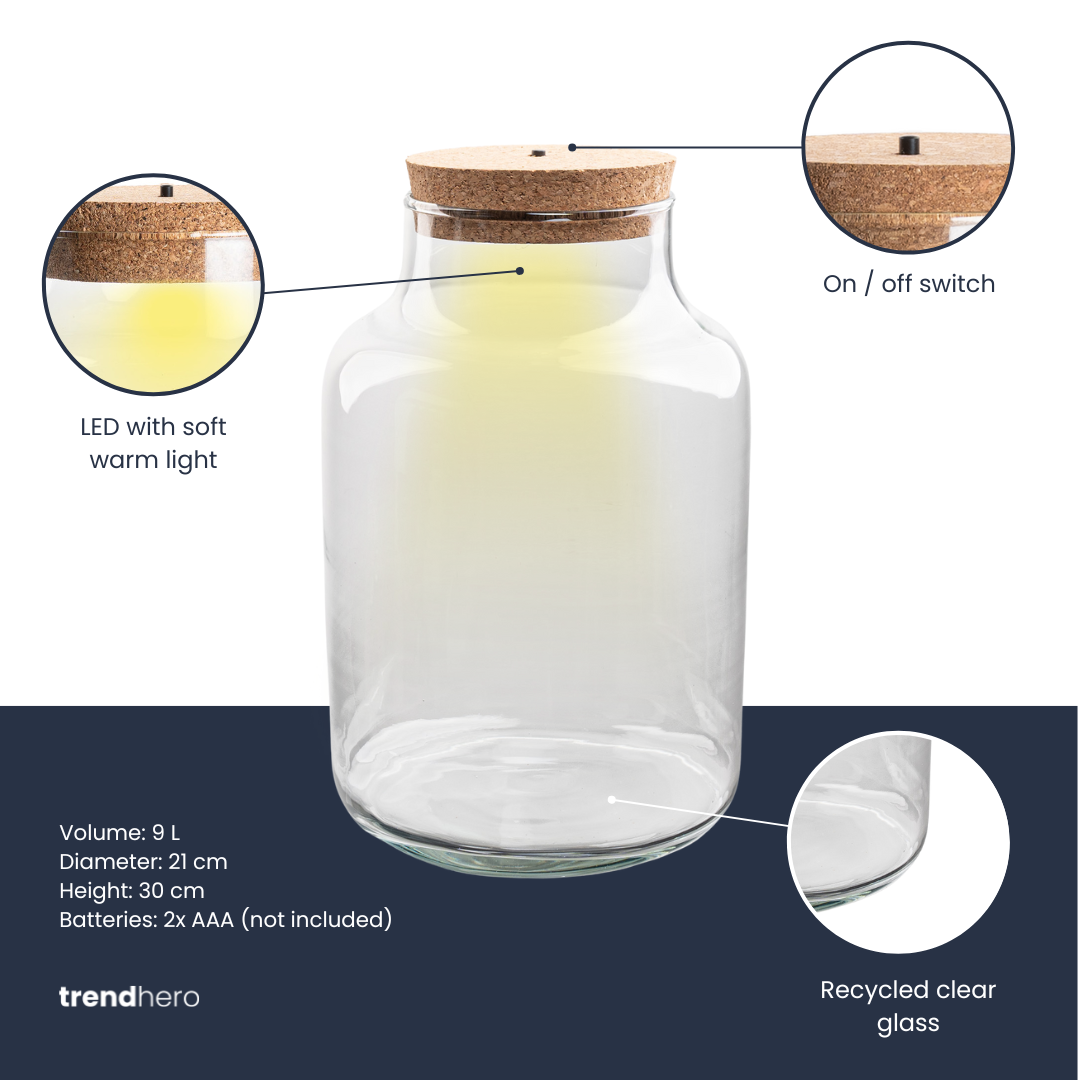 Bouteille terrarium avec éclairage - Couleur laiteuse - Ø 21 cm ↑ 30 cm