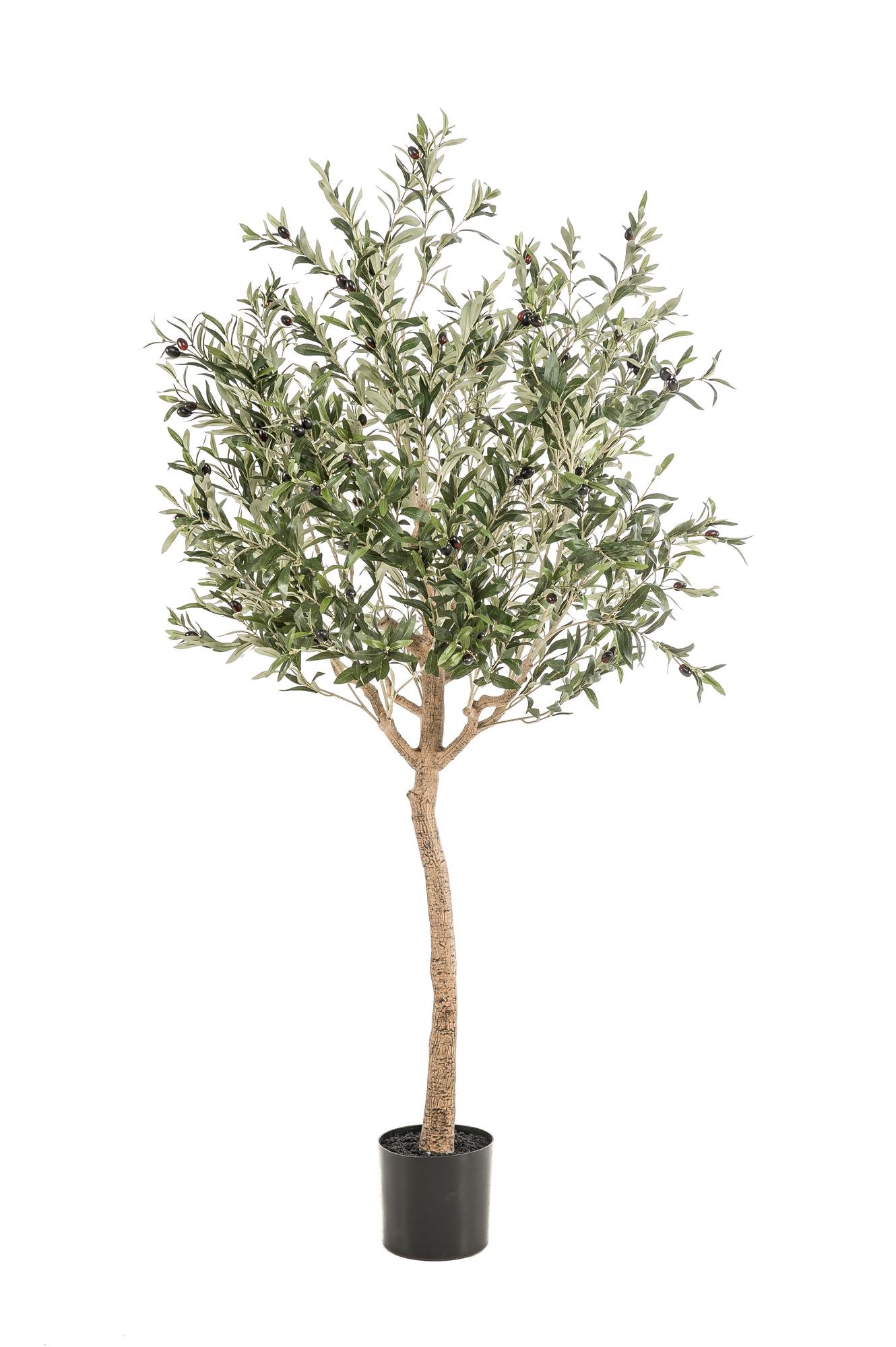 Künstlicher Olivenbaum – Olea europaea – Olivenbaum – 180 cm