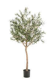 Künstlicher Olivenbaum – Olea europaea – Olivenbaum – 180 cm