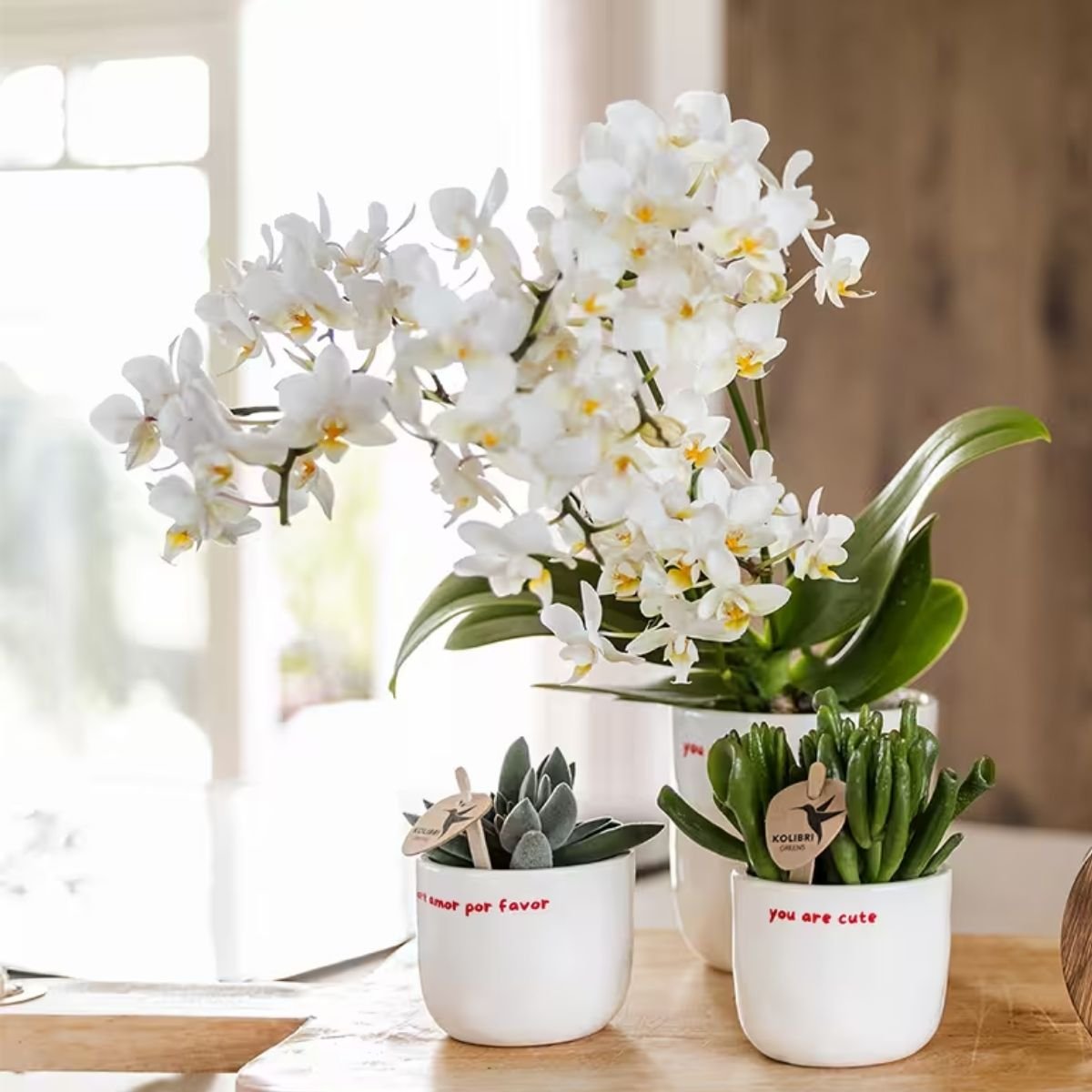 Kolibri Home | You Are Cute sierpot - Ø6cm