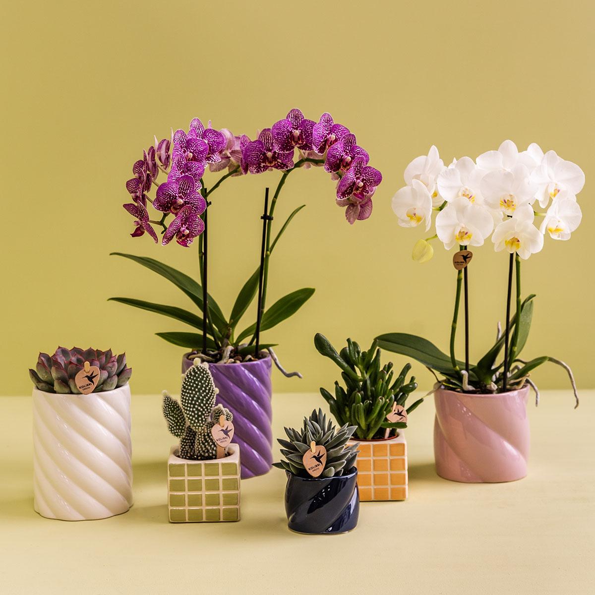 Kolibri Home | Vaso decorativo Candy - Rosa - Ø9cm