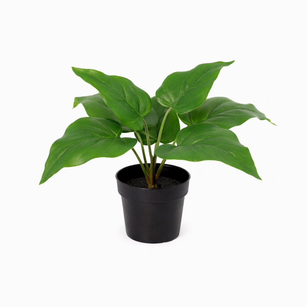 Kunstplant Philodendron Imperial Green - 25cm