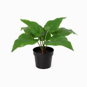 Kunstplant Philodendron Imperial Green - 25cm