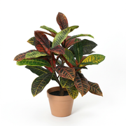 Kunstplant Croton codiaeum - 40cm