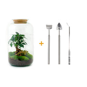 Terrario fai da te - Sven Bonsai - ↕ 43 cm - Rastrello + Pala + Pinzetta