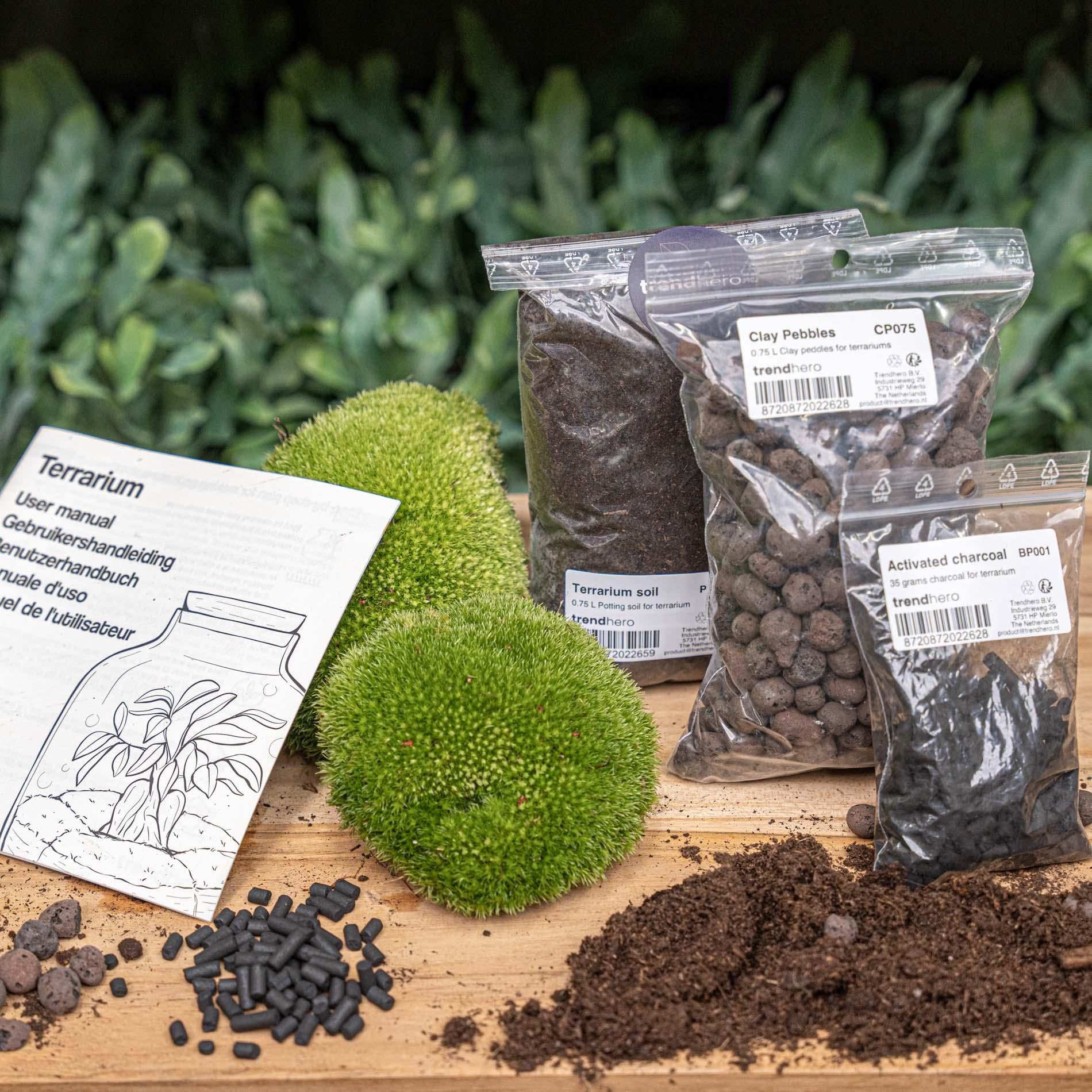 Plant terrarium - Refill & starter pack - Size S/M - DIY