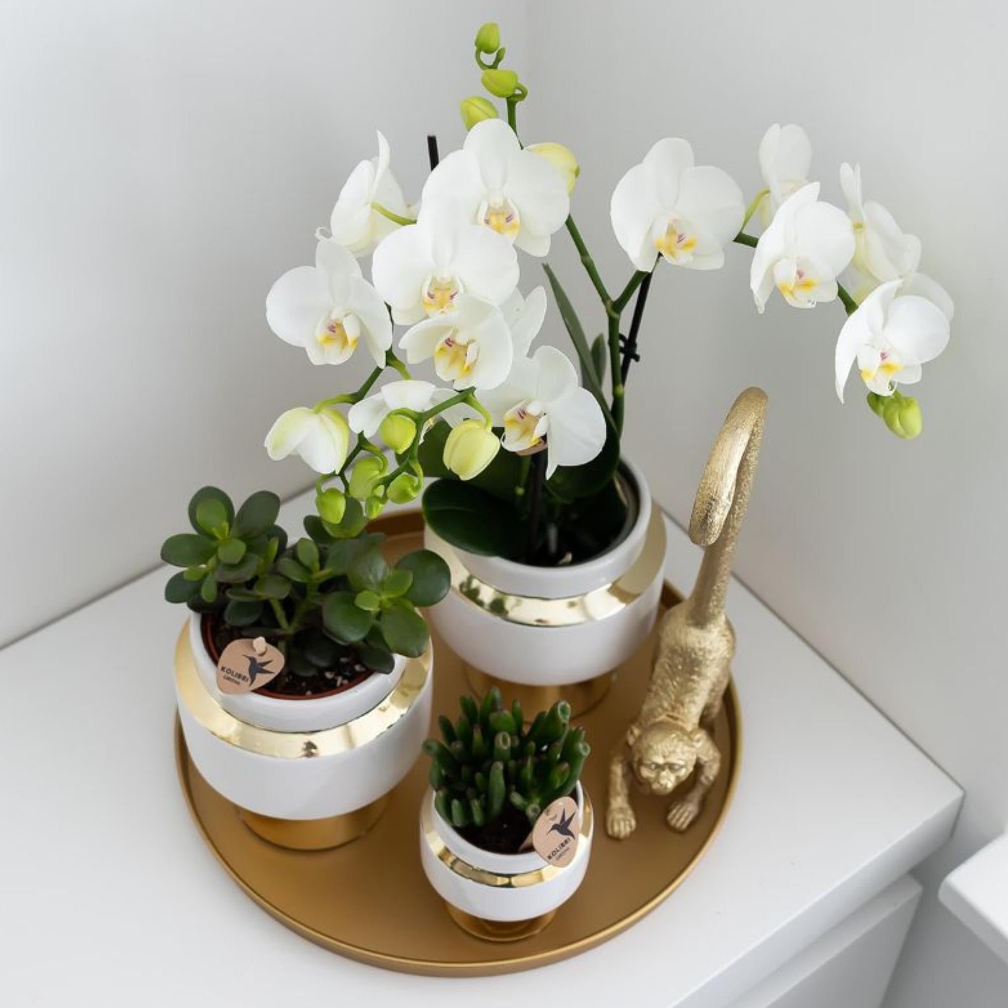 Kolibri Home | Dekoratives Tablett – Rundes goldenes Tablett Ø 30 cm