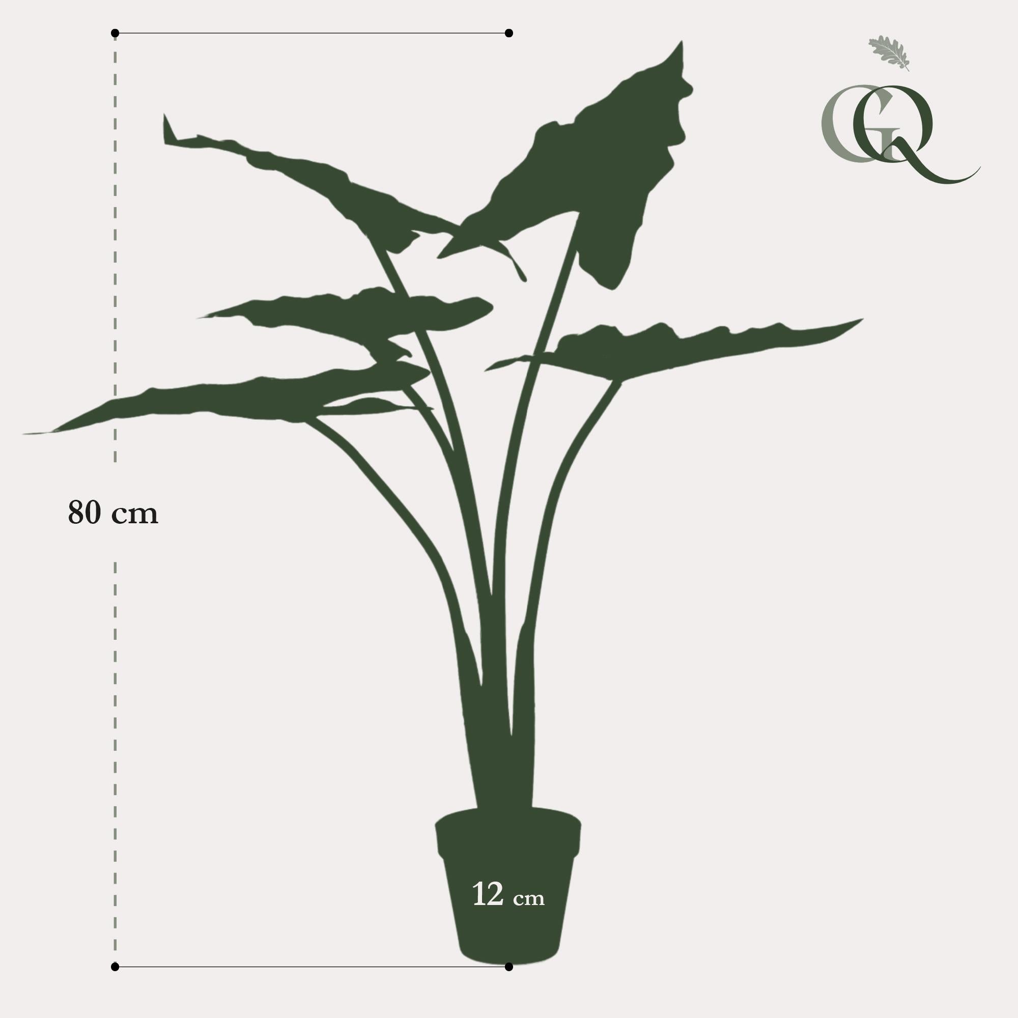 Artificial plant - Alocasia Frydek - Elephant Ear - 80 cm