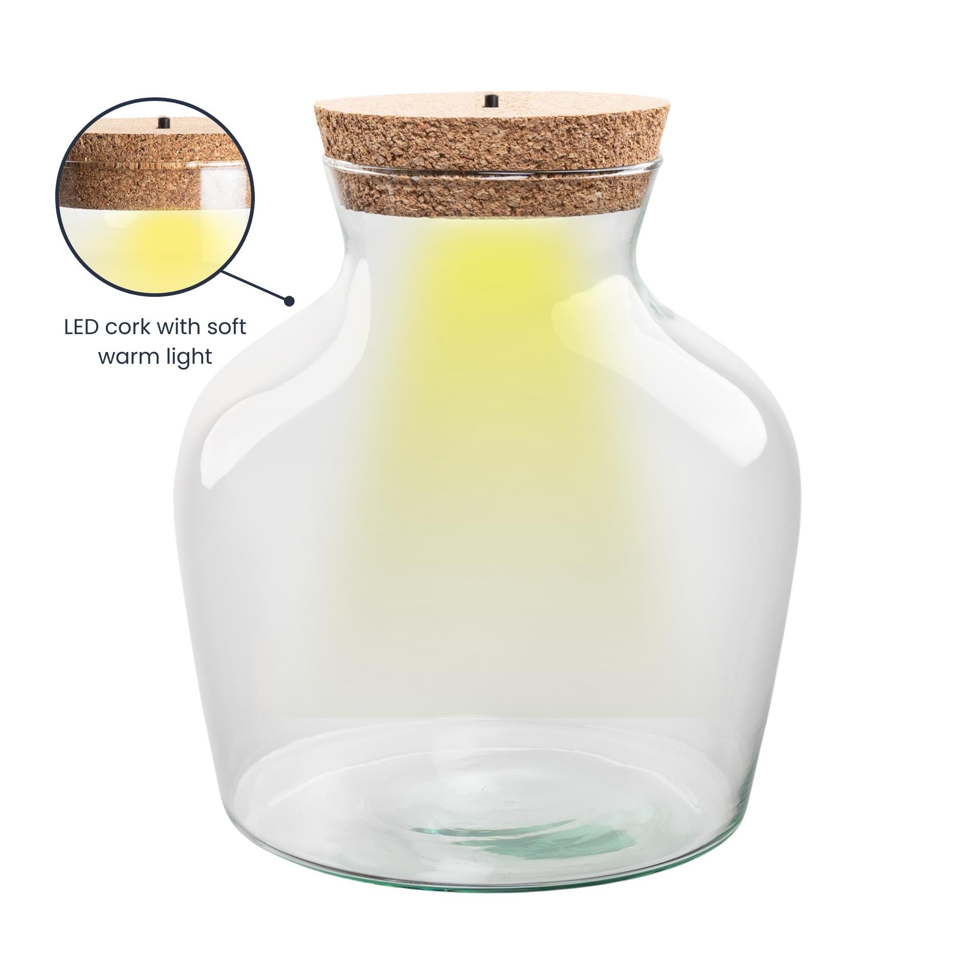 Bouteille terrarium avec éclairage LED - Terrarium fermé - Little Joe - ↑ 22 cm - Ø 20 cm