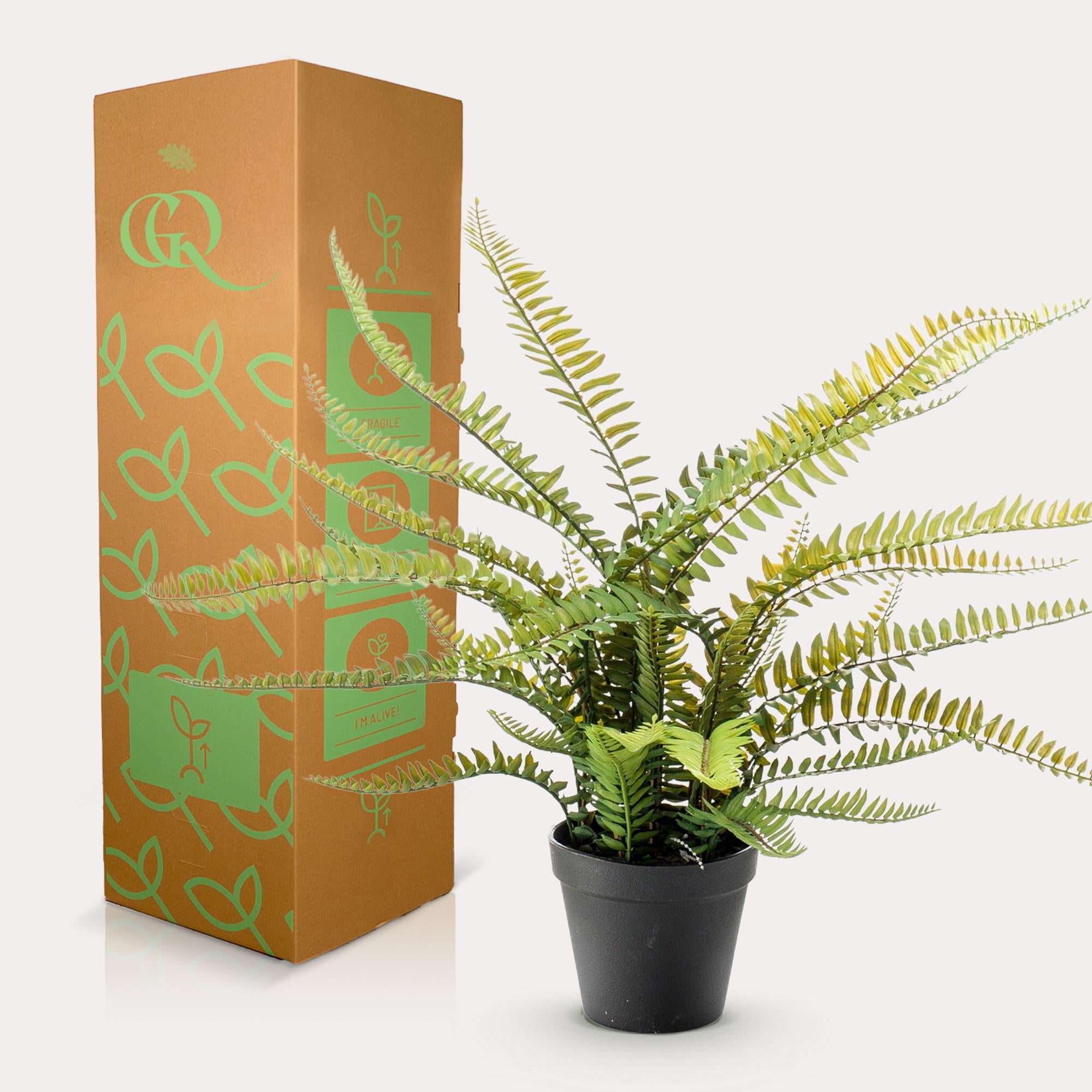 Pianta artificiale - Nephrolepis Exaltata - Felce di Boston - 55 cm