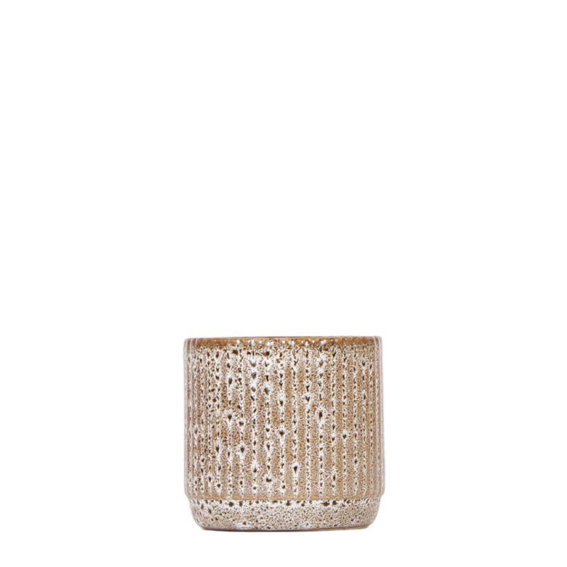 Kolibri-Zuhause | Jaguar - Ø6cm - Ø6cm