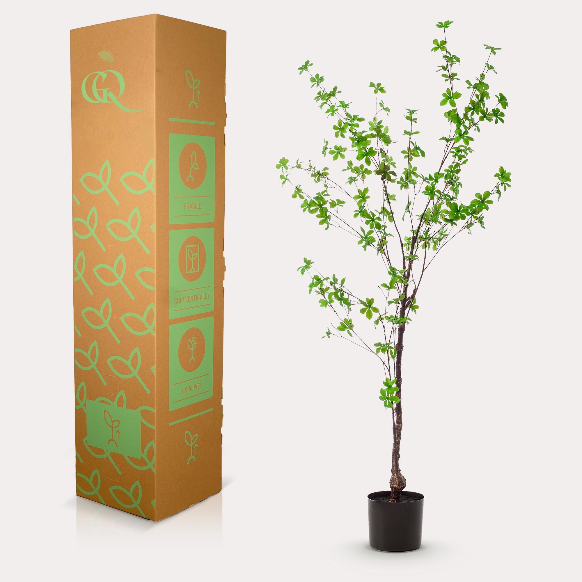 Artificial plant - Tropaeolum Speciosum - Nasturtium - 150 cm