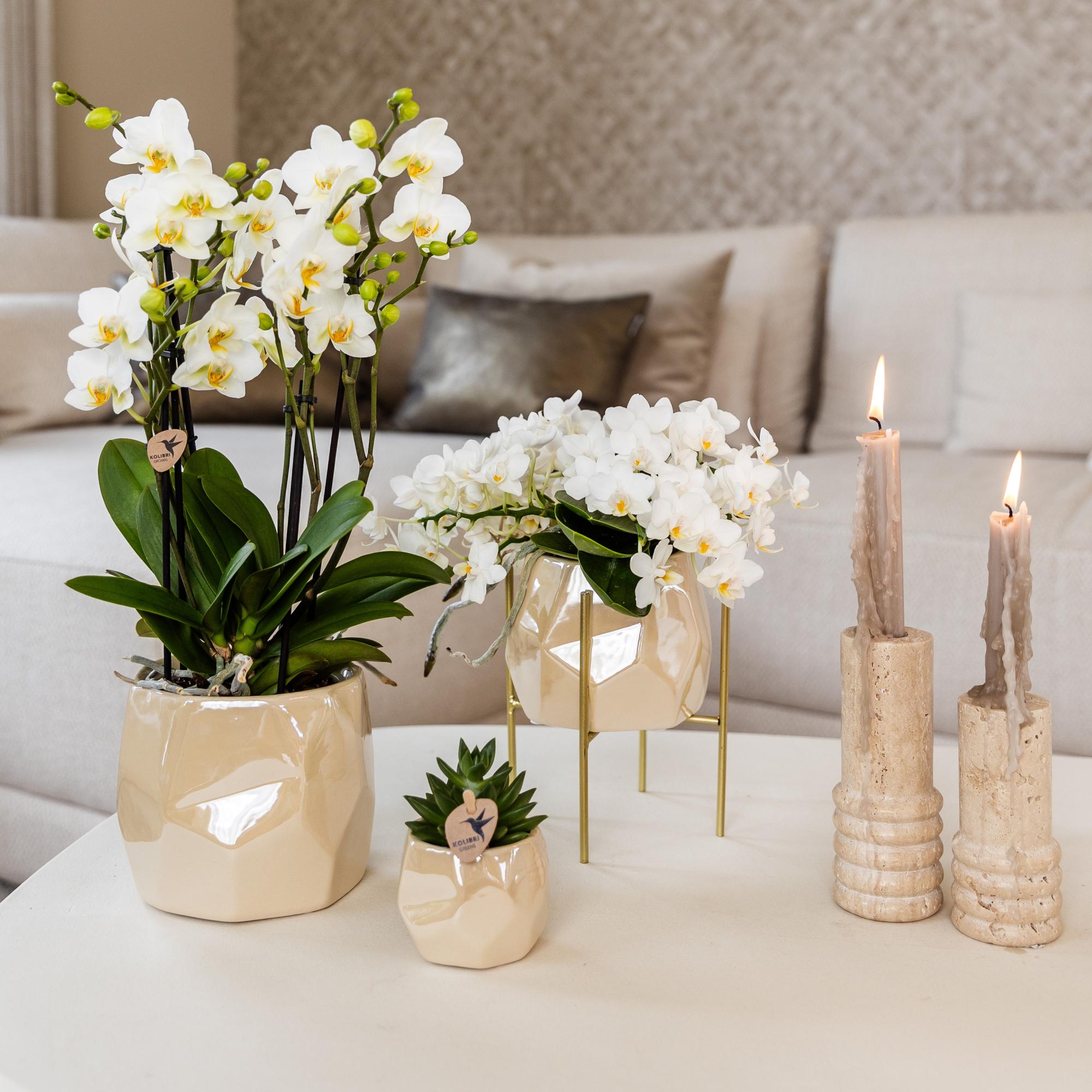 Kolibri Home | Plantenstandaard - Gouden metalen planten verhoging Ø12cm