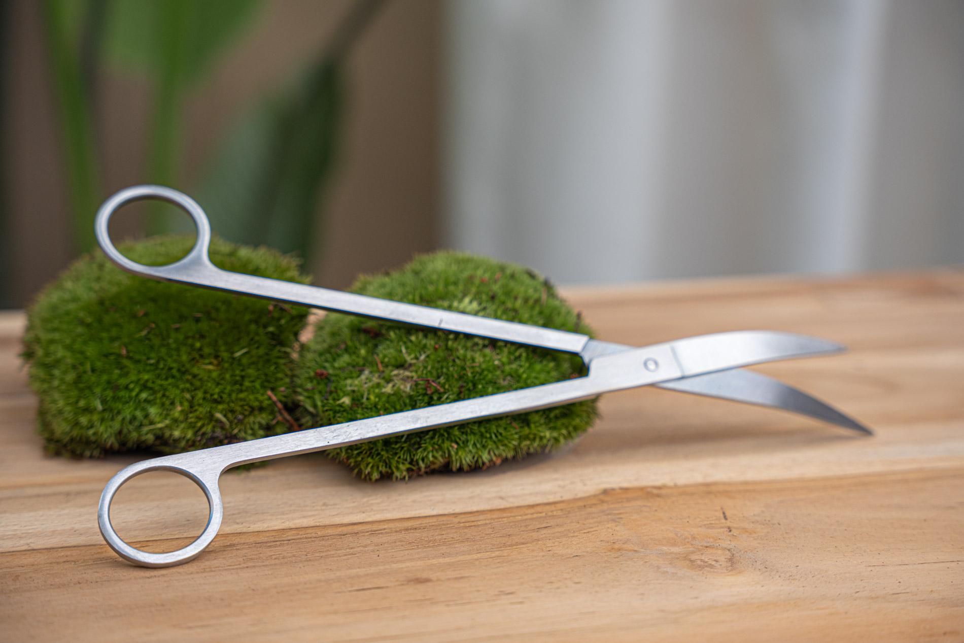 Ciseaux longs pour terrarium - Acier inoxydable - ↑ 25 cm
