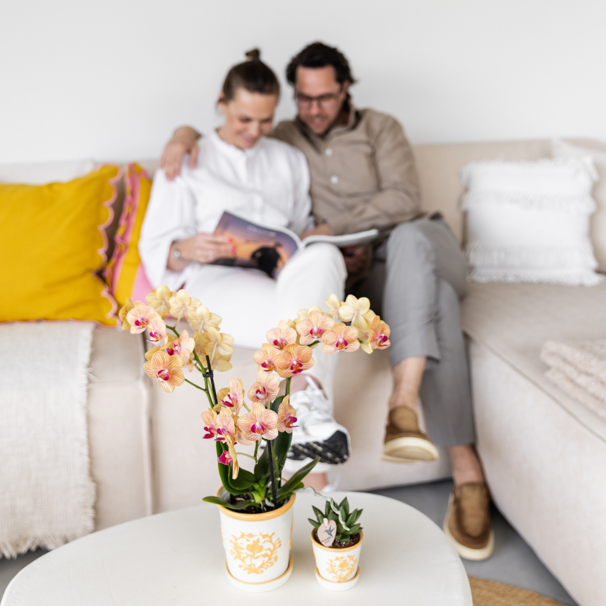 Kolibri-Orchideen | Gelbe Orchidee Lima + Malaga, dekorativer Topf, hellorange - Topfgröße Ø 9 cm | Blühende Zimmerpflanze - frisch vom Züchter