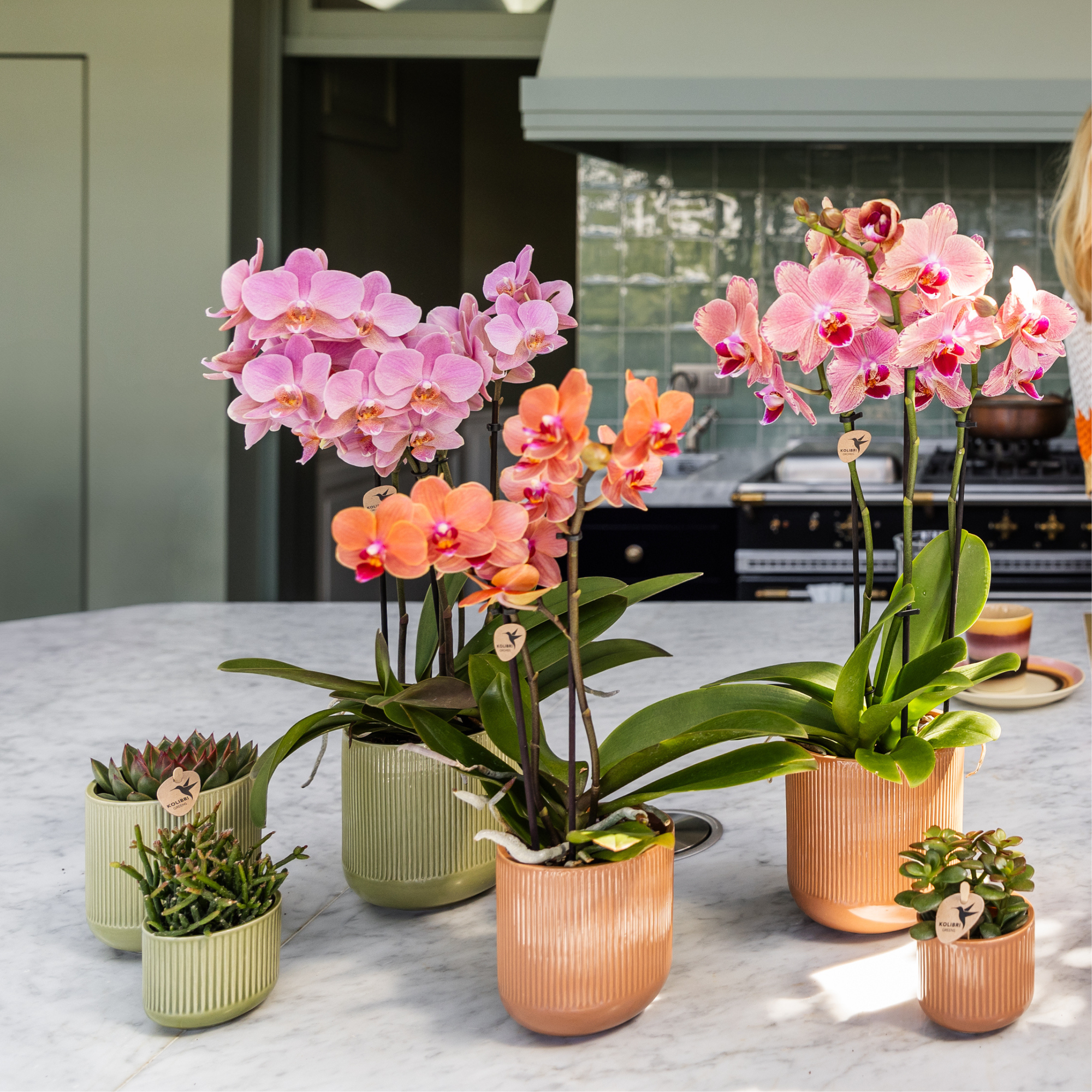 Pot décoratif Kolibri Home | Flare - Vert - Ø9cm