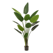 Künstliche Pflanze – Strelitzia Nicolai – Paradiesvogelblume – 190 cm