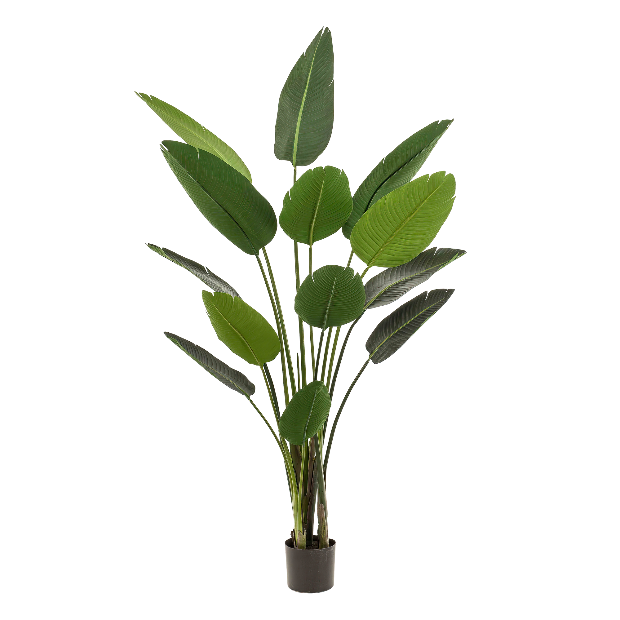 Künstliche Pflanze – Strelitzia Nicolai – Paradiesvogelblume – 190 cm