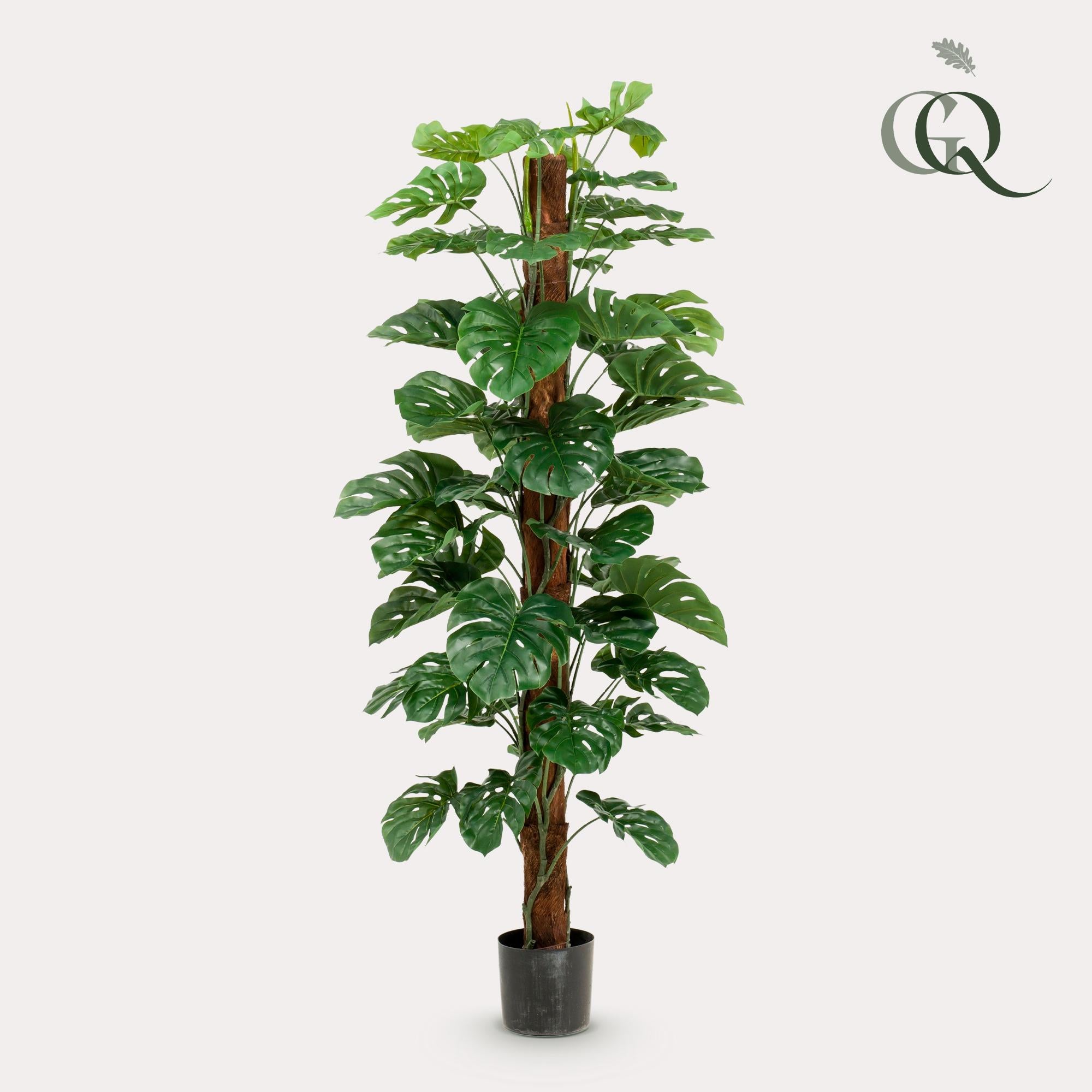 Monstera Deliciosa - pianta artificiale - 180 cm