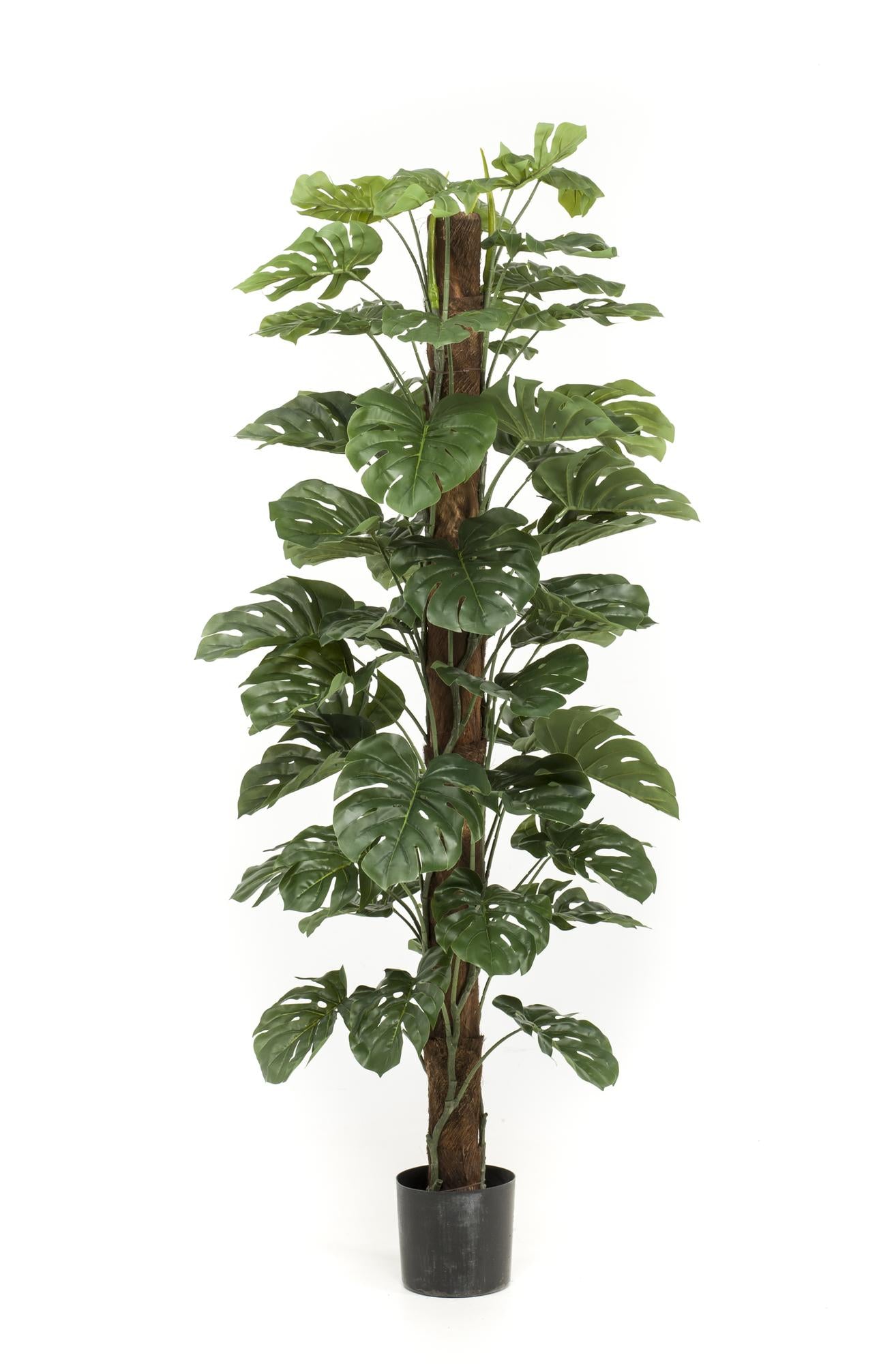 Monstera Deliciosa - pianta artificiale - 180 cm