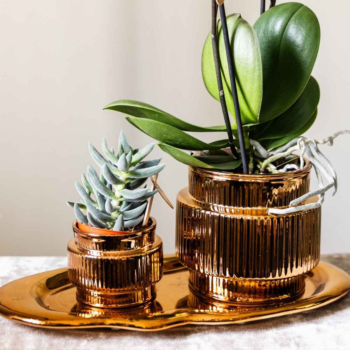Kolibri Home | Allure Shiny sierpot - Brons - Ø6cm