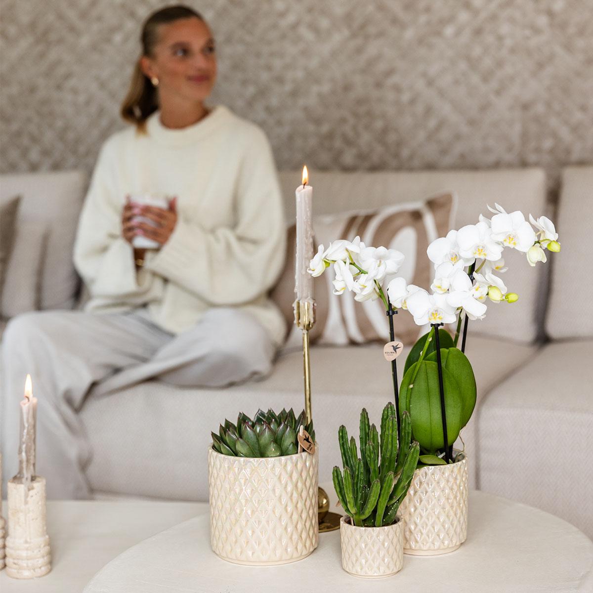 Kolibri Home | Pot décoratif Diamant Perle - Travertin - Ø9cm