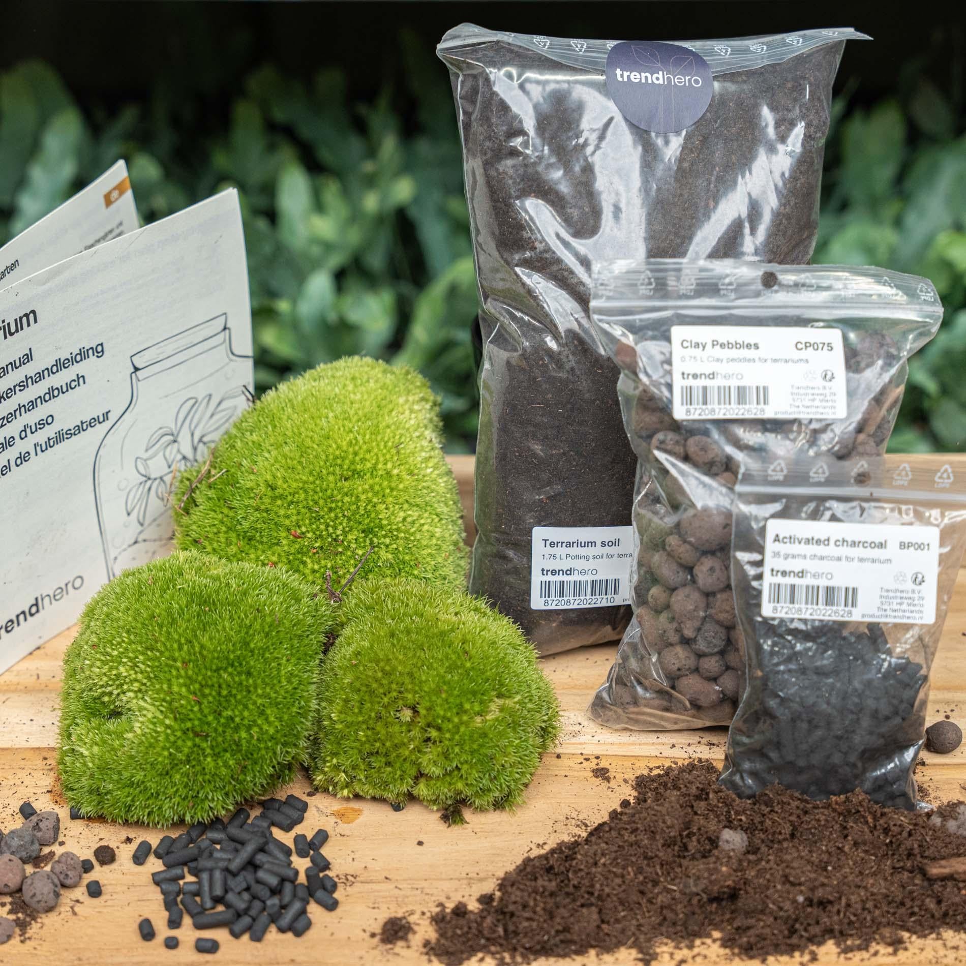 Plant terrarium - Refill & starter pack size L/XL - DIY