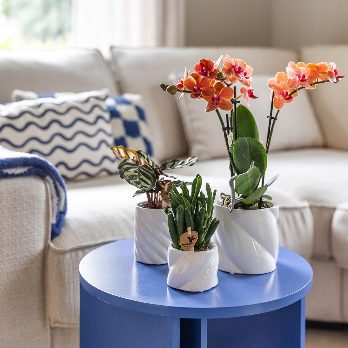 Kolibri Home | Candy sierpot - White - Ø9cm