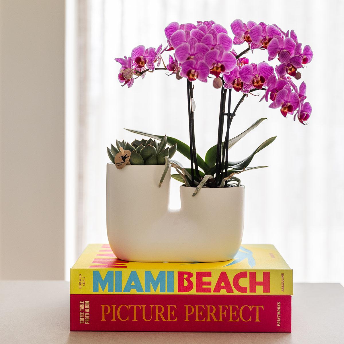 Kolibri Home | Dekorativer Übertopf in Röhrenform – Weiß