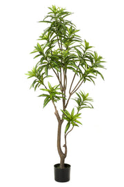 Planta artificial - Dracaena - Árbol del dragón - 155 cm