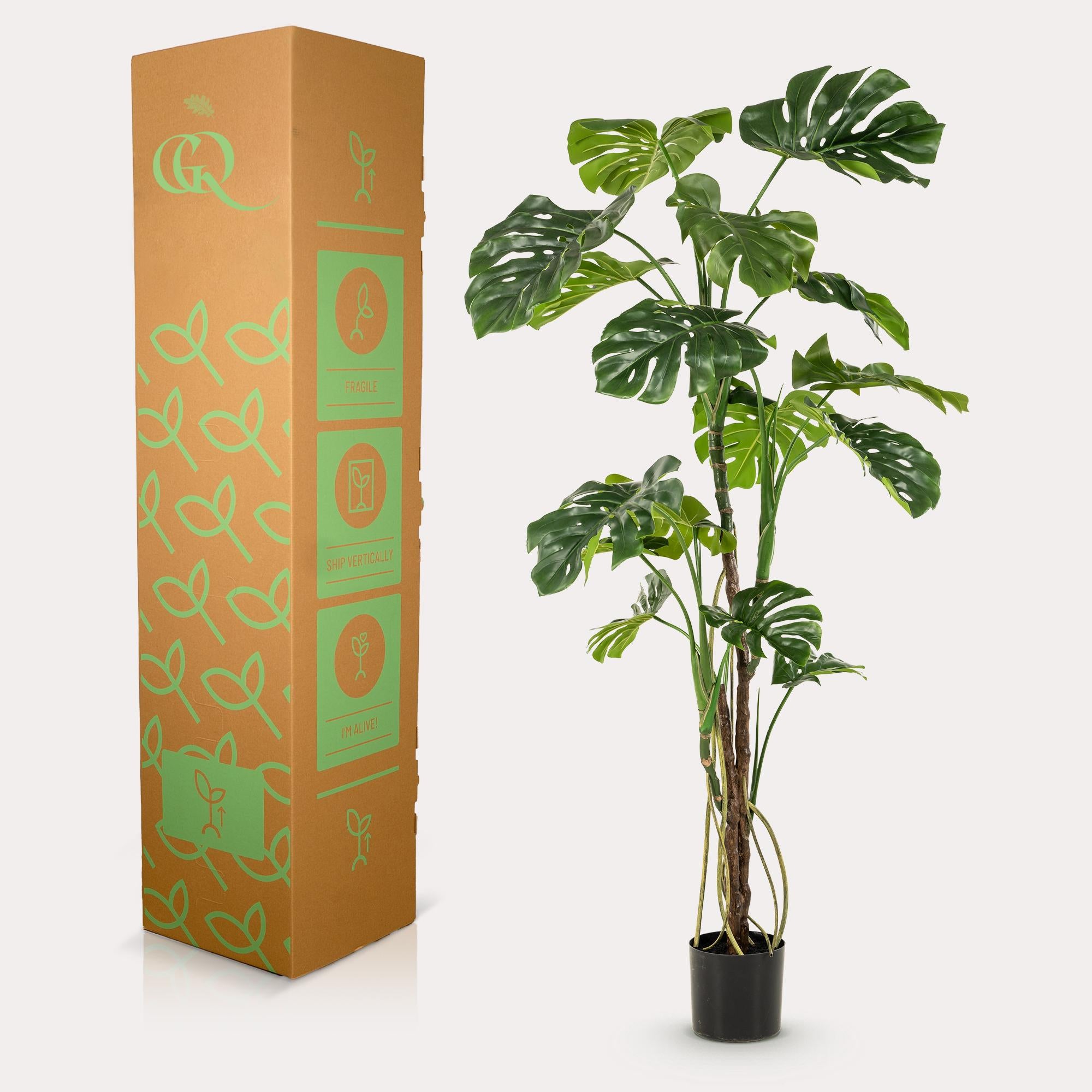 pianta artificiale - Monstera - Pianta da bucato - 180cm