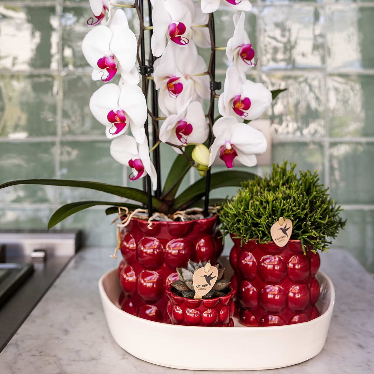 Kolibri Home | Cotton Shine sierpot - Red - Ø12cm